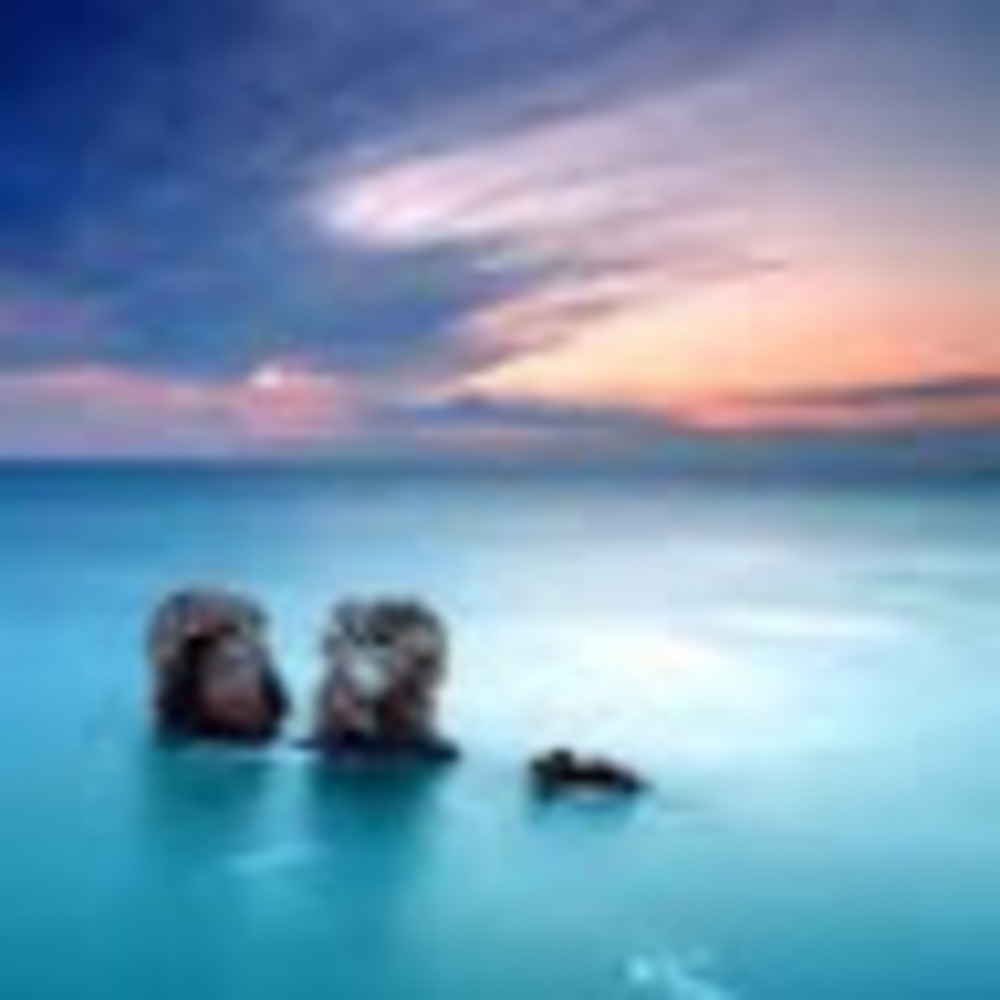 Meet your Posher, Izzy